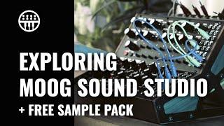 Exploring The Moog Sound Studio | + Free Sample Pack | Thomann