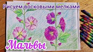 Рисунок восковыми мелками "Мальвы"