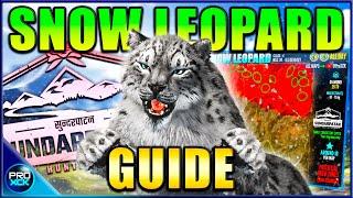 Snow Leopard Guide! | How to hunt Snow Leopards on Sundarpatan -  theHunter Call of the Wild