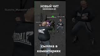 НОВЫЙ ЧИТ МАЛИНОВКА РП