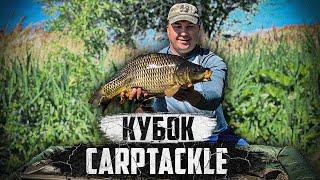 ЛОВЛЯ КАРПА ВО ВРЕМЯ НЕРЕСТА. Кубок Carptackle. Рыбалка На Высокополье.