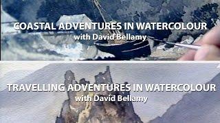 David Bellamy Twin Pack (1)