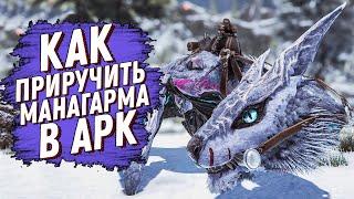 КАК ПРИРУЧИТЬ МАНАГАРМА В АРК (ARK: Survival Evolved)