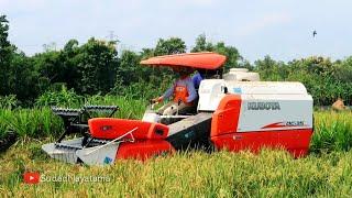 MESIN PANEN PADI KUBOTA DC35 IDEAL UNTUK LAHAN YANG KECIL