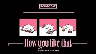 Bongo Cat - 'How You Like That' BLACKPINK 