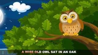 A Wise Old Owl with lyrics - Nursery Rhymes by EFlashApps