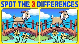 Spot the Difference | Brain training 《NORMAL》