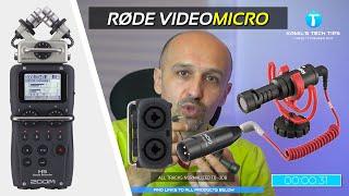 XLR to Mini Jack Microphone Recording -  3.5mm Mini-Jack to XLR adapter (Rode Microphones)