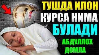 Абдуллох Домла Тушда илон курса нима булади Туш табири Abdulloh Domla tushda ilon korsa nima bo'ladi