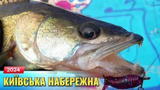 СУДАК ТА СОМ ПІШОВ НА СПІНІНГ ! Риболовля на Київській набережній