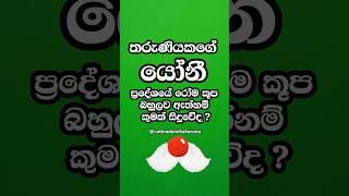 දන්නවද ඇයට වෙනදේ #shorts #education #facts