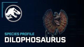 Species Profile - Dilophosaurus