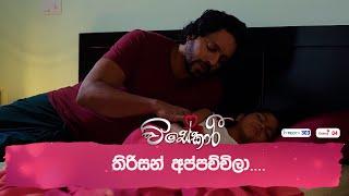 තිරිසන් අප්පච්චිලා.....