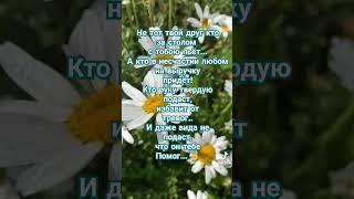 не тот твой друг,... #цитаты #2024 #мудрыемысли #природа #shortsvideo 