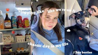 vlogging like we're on facetime️ hygiene, fridge organizing & more