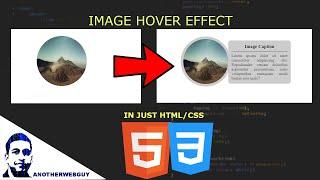 Image Caption Reveal Hover Effect | Code Snippet #15