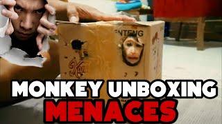 YouTube’s Disturbing Monkey Unboxing Videos