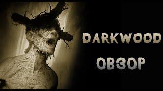 ОБЗОР ИГРЫ: DARKWOOD