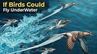 If Birds Could live Underwaters | Birds Speed comparison