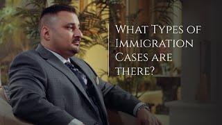 What are Different Types of Immigration Cases?