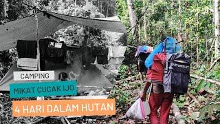 4 HARI CAMPING DALAM HUTAN RIMBA BERPETUALANG MIKAT CUCAK IJO SUMATRA