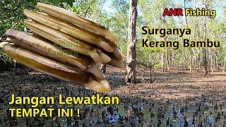 Cara Mencari Kerang Bambu