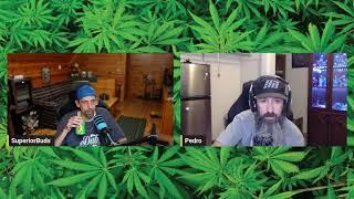 VARIABLES Podcast Ep. 42 - Trichome Appreciation Show