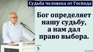 "Судьба человека от Господа". А. В. Гамм. МСЦ ЕХБ