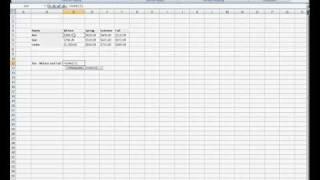 Using Auto Sum to add non-adjacent cells in Microsoft Excel 2007