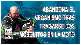 Abandona el veganismo tras tragarse dos mosquitos en la moto 2022