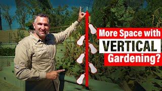 Vertical Garden DIY Results! Maximize Your Garden Space With Vertical Gardening