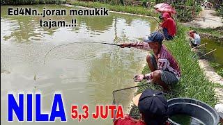 MANCING NILA INDUKAN  // DIJAMIN KETAGIHAN‼️