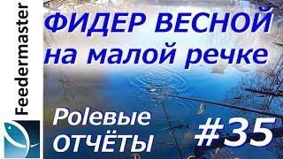 Весенняя плотва на малой реке. Фидерная рыбалка в удовольствие