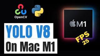 Object Detection with YOLO v8 on Mac M1 | Opencv with Python tutorial