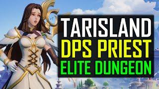 Tarisland Global Elite Library DPS Priest Party Dungeon