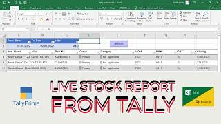 TDL Reports to Excel Power BI | Fetch Stock details to Excel Power Query @LearnWell