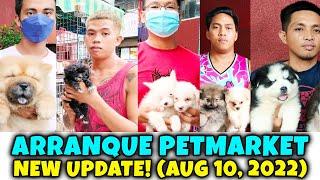 NEW PUPPIES UPDATE SA ARRANQUE PETMARKET | Aug 10, 2022 | VP VideoEdits