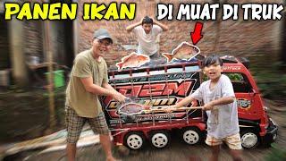 PERTAMA TRUK DIMAS MUATAN IKAN NILA!! SERU BANGET NANGKAP IKAN NYA..