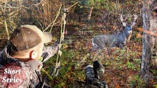 HUGE Buck Fight - Crazy Rut Morning Bow Hunt with Tag Punched