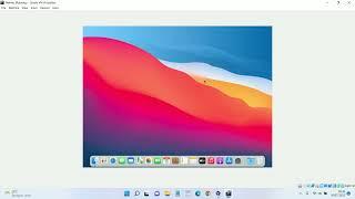 [Solved] Mouse and KeyBoard Lag in MacOS VirtualBox