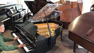 RAHT plays his arrangement of Imagine by the Beatles on Piano Mill's plexiglass baby grand piano!