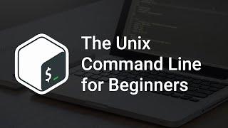 Bash for Beginners | Anatomy of the Command Line