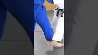 Judo (FOOT SWEEP COMBINATION) by David Loshelder #judo #judotraining #bjj #judotechniques #usajudo