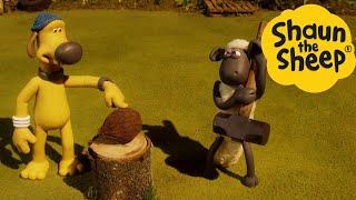 Shaun the Sheep  COCONUT - Cartoons for Kids  Full Episodes Compilation [1 hour]