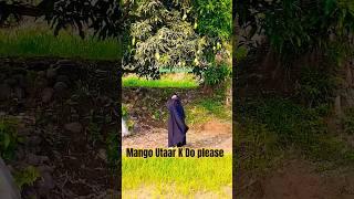 Mango Do Please #better #muslim #islam #learn #viral #shortsfeed  #nature #naat #hijab #trending