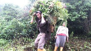 Life With Nature || Video - 208 || Rural Nepal & natural lifestyle ||