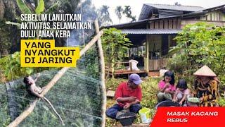 Lanjutkan aktivitas kebun setelah selamatkan anak kera yang terjaring