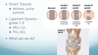 Knee Pain Relief | Watch Our June 2016 Workshop on Knee Pain Treatment