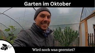 Garten Ende September/Oktober | Wird noch was geerntet?