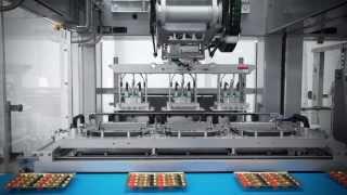 Verpackungslinie für Süßwaren: Verpackungsroboter von Schubert platzieren Pralinen in Trays